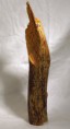 /album/galerie-de-photos-nature/nat-totem-xylophage-1-jpg/